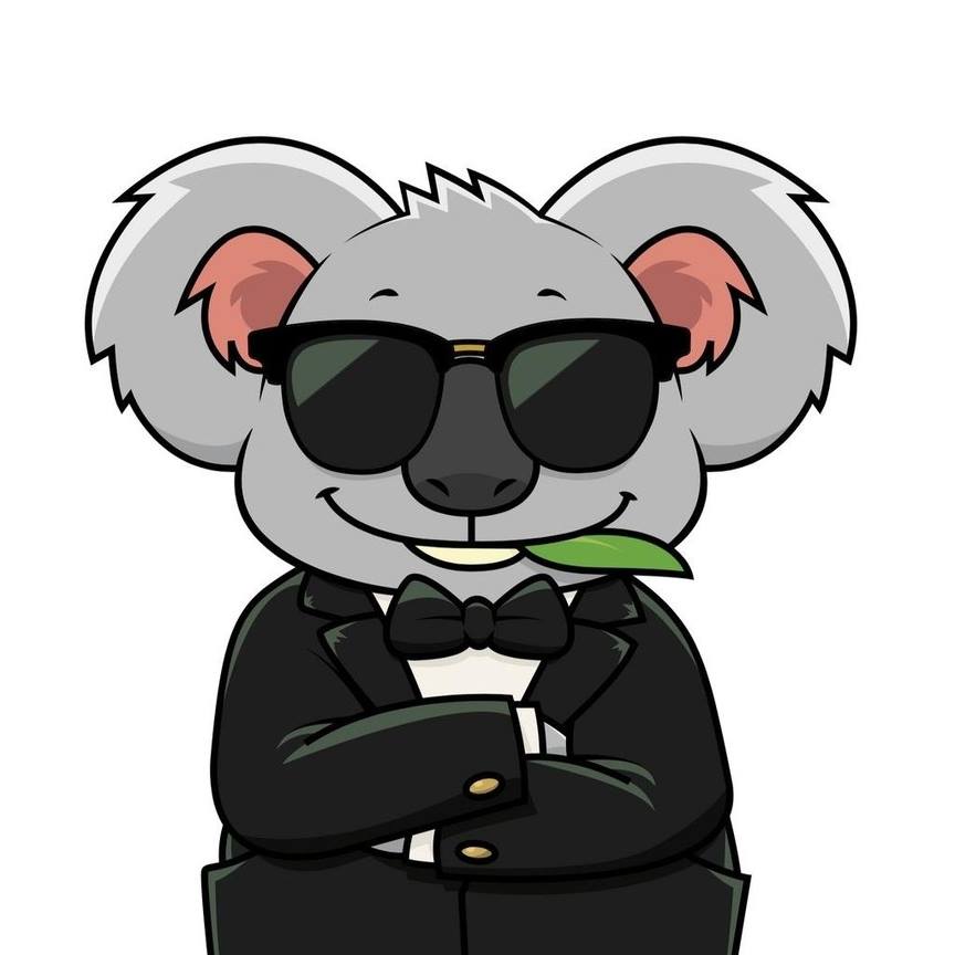 Queensland Koala Crusaders - For years we have educated and talked with ...