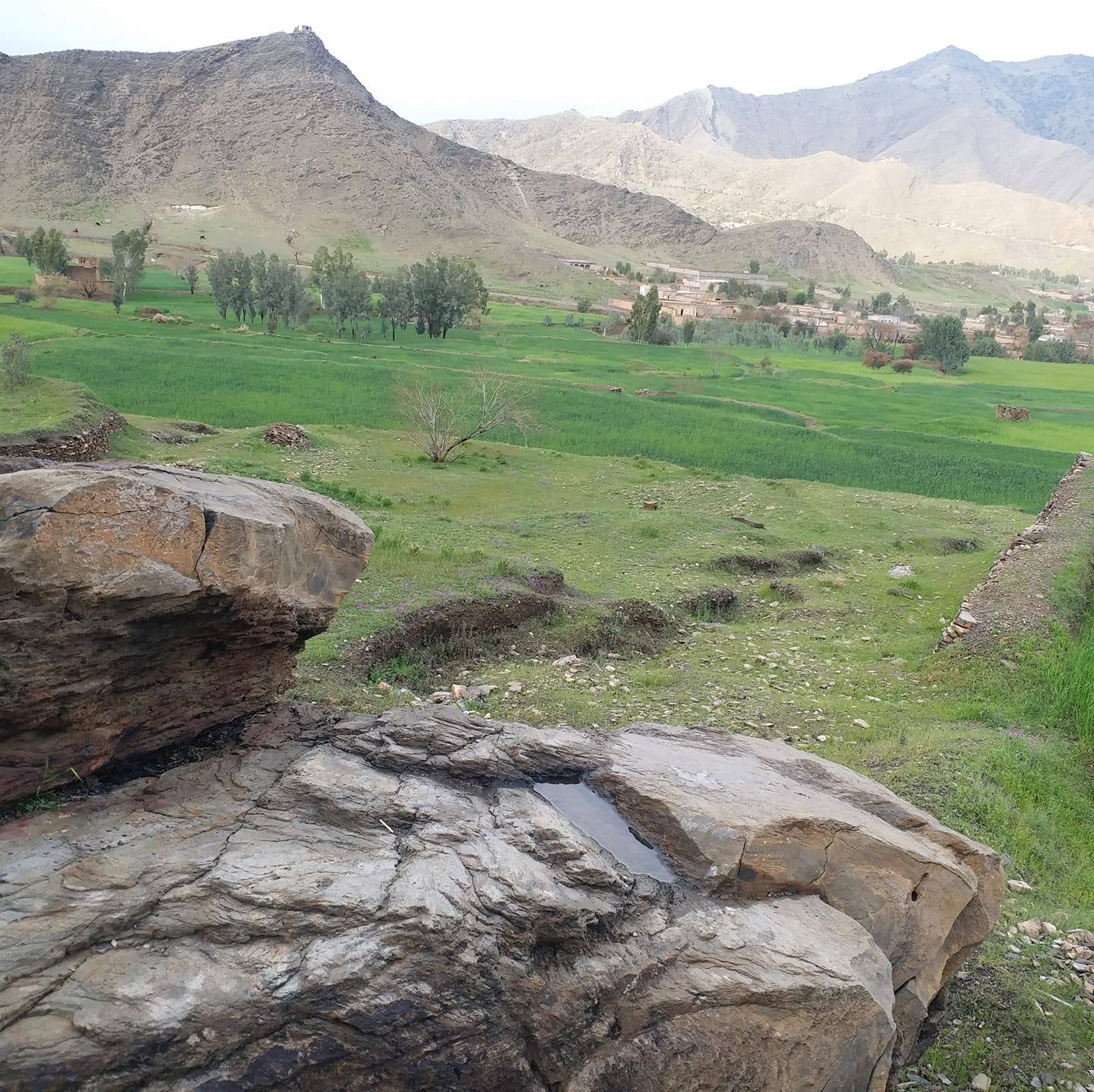 Voice of Mohmand
