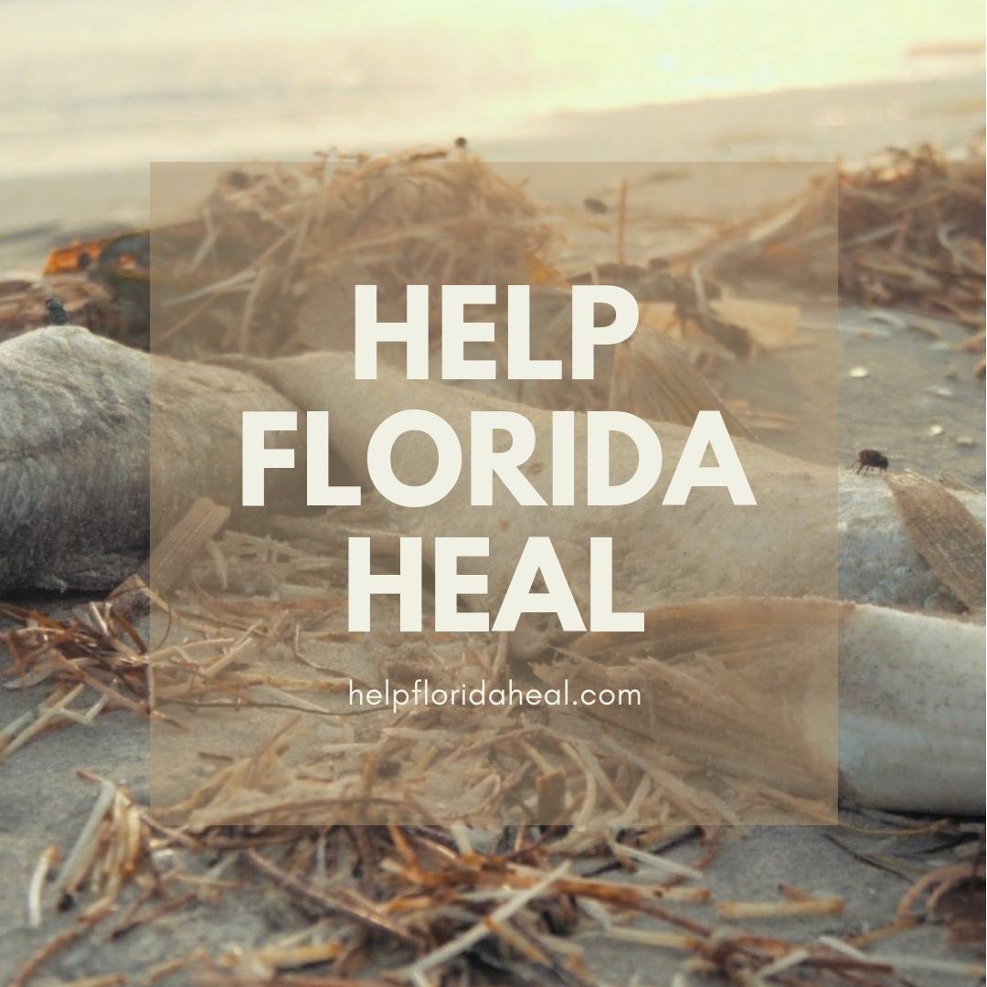 Help Florida Heal