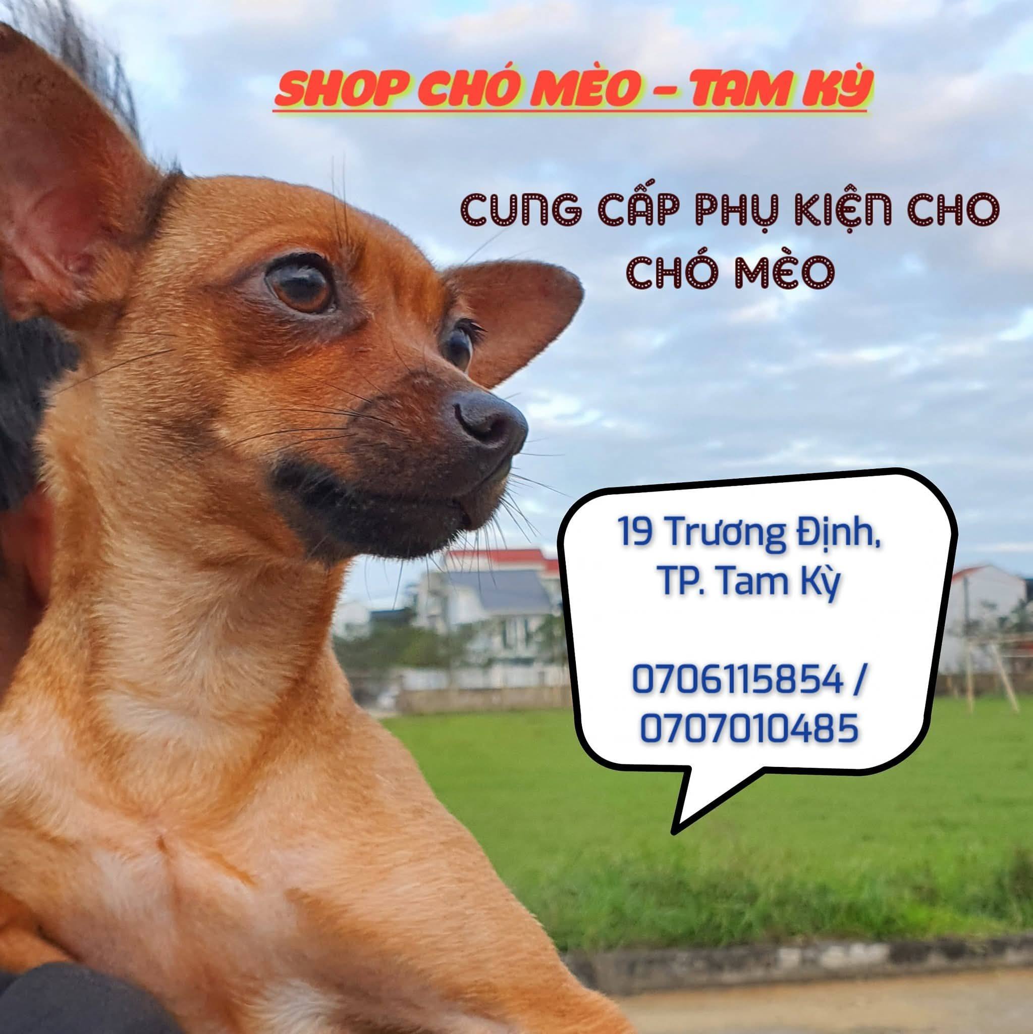Shop Chó Mèo - Tam Kỳ | Tam Ky