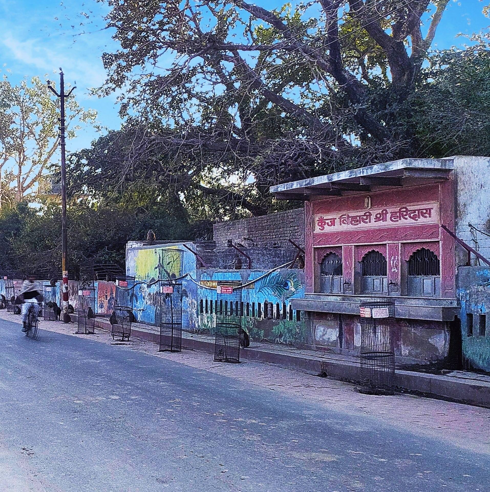 Pyaro vrindavan dham