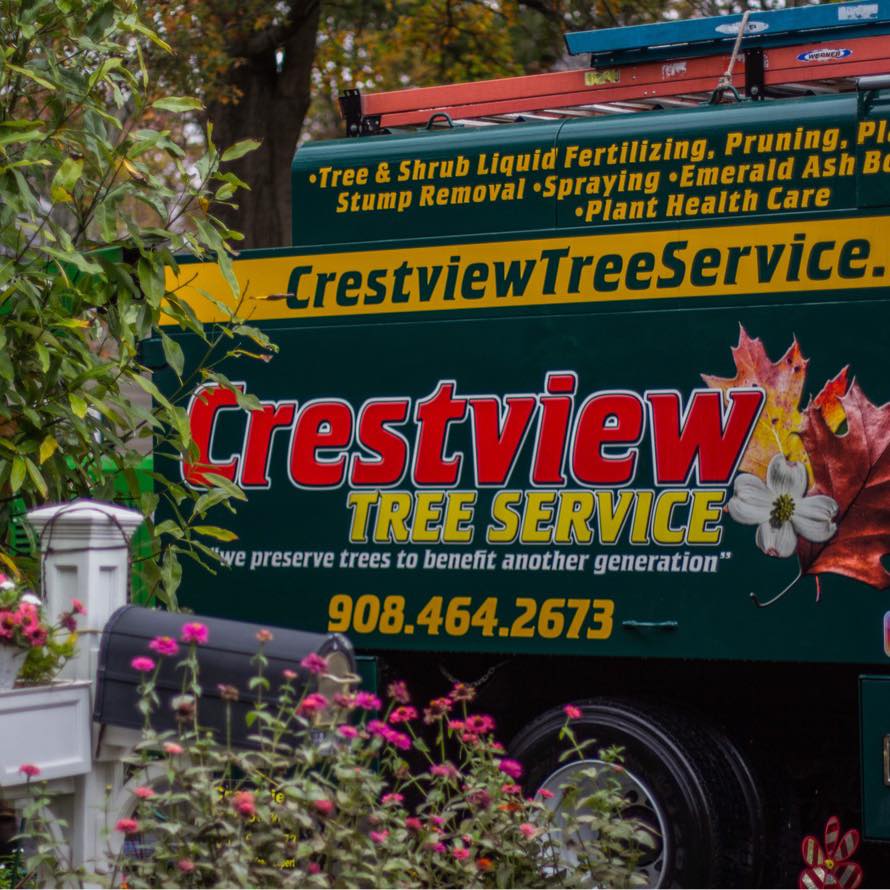 Crestview Tree And Landscape Service Inc. | Far Hills NJ