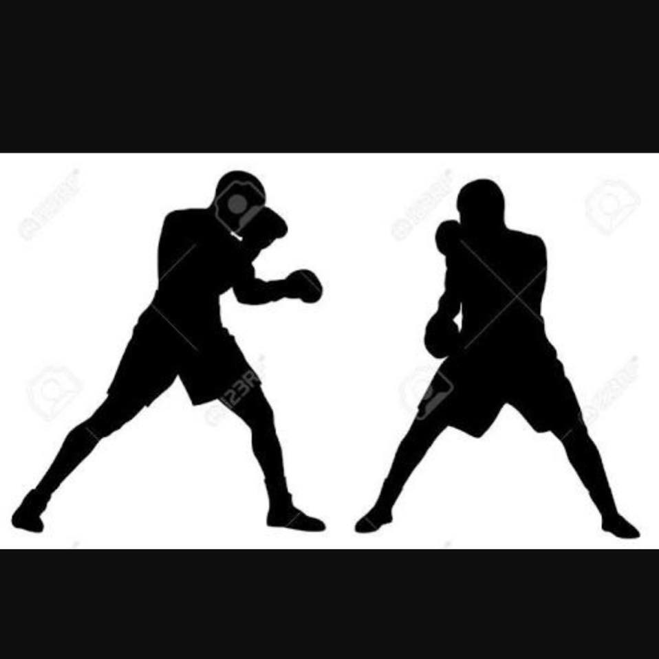 Shape Up Boxing Club | Newstead QLD