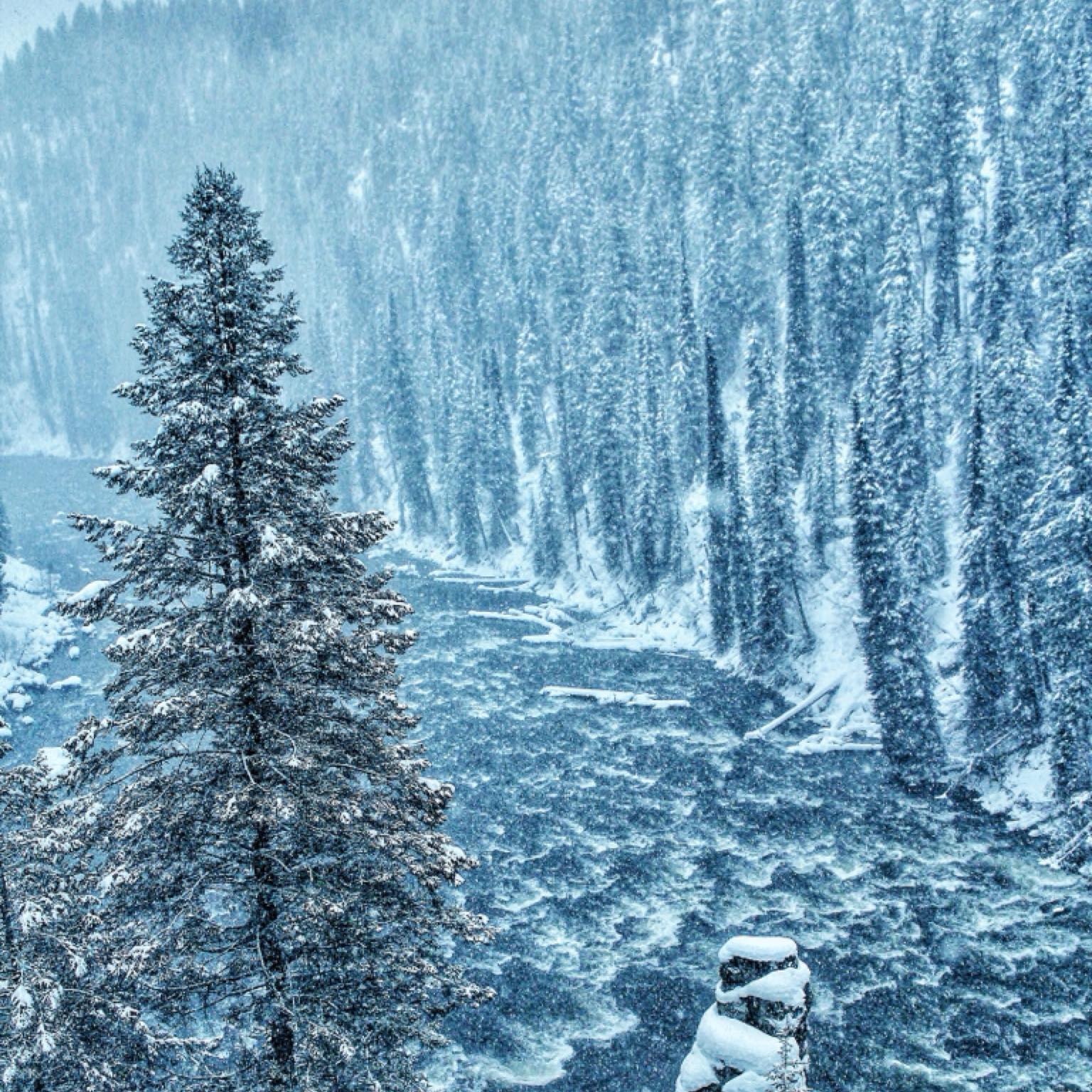 Richter Outdoor Photography