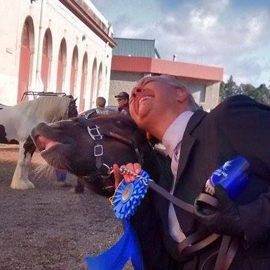 Get a white horse, they said. It'll be FUN they said. ... ... Sigh. # ...