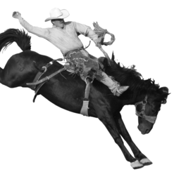 Royal Gorge Rodeo 2021 | Canon City CO