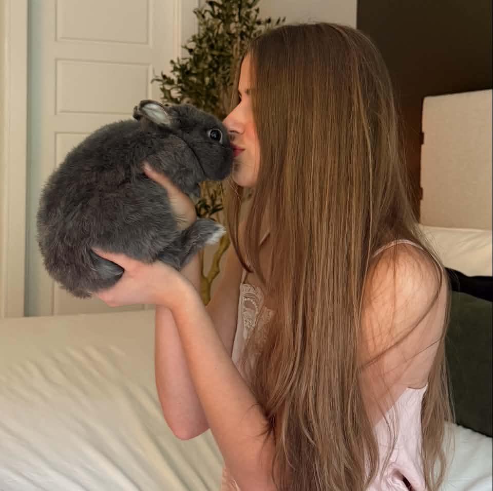 eeling like a Disney princess 👑 #bunny #bunniesofinstagram # ...