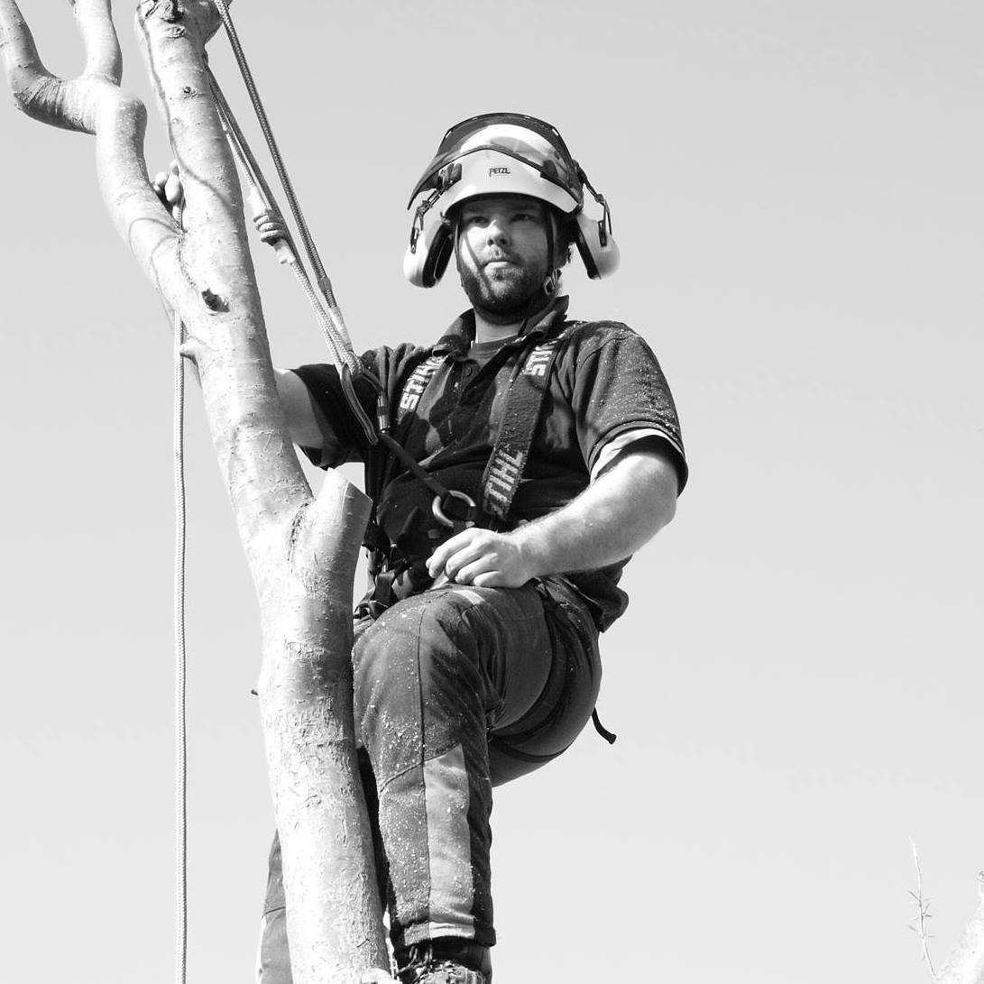Richard Tree Surgeon