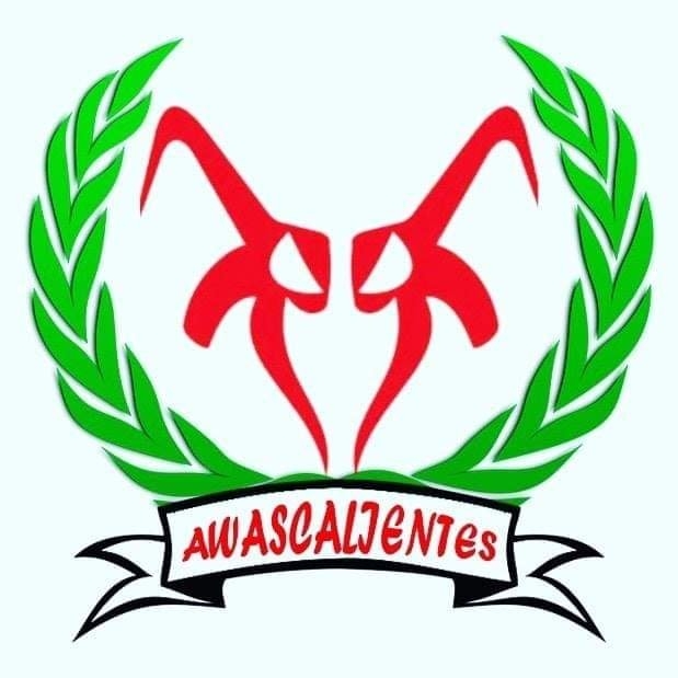 La Irreverente Aguascalientes
