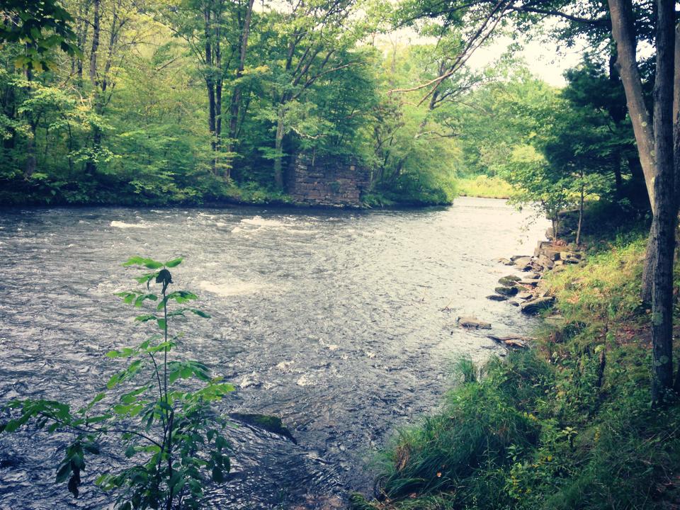 Salmon River | Altmar NY