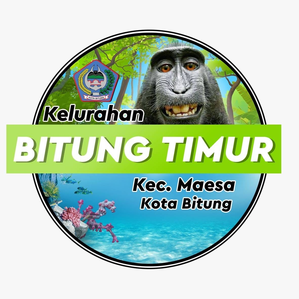 Kelurahan Bitung Timur - Kecamatan Maesa Kota Bitung