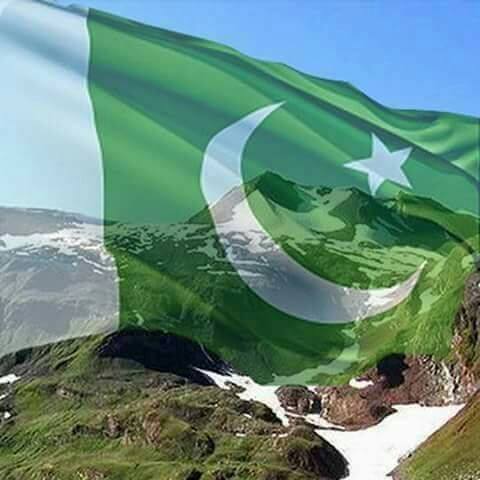 آمینہ گل