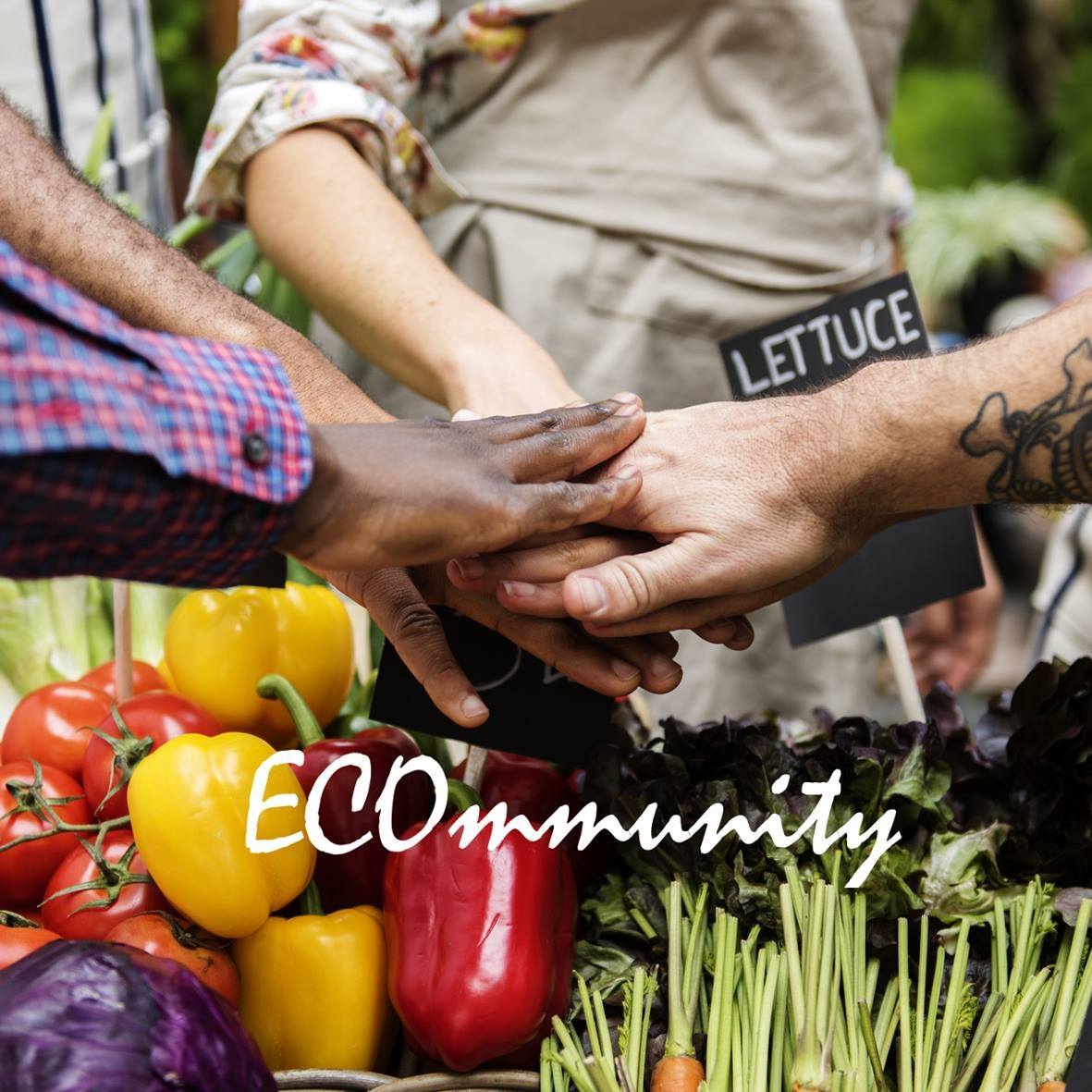 ECOmmunity - a virtual ecovillage | Berkeley CA