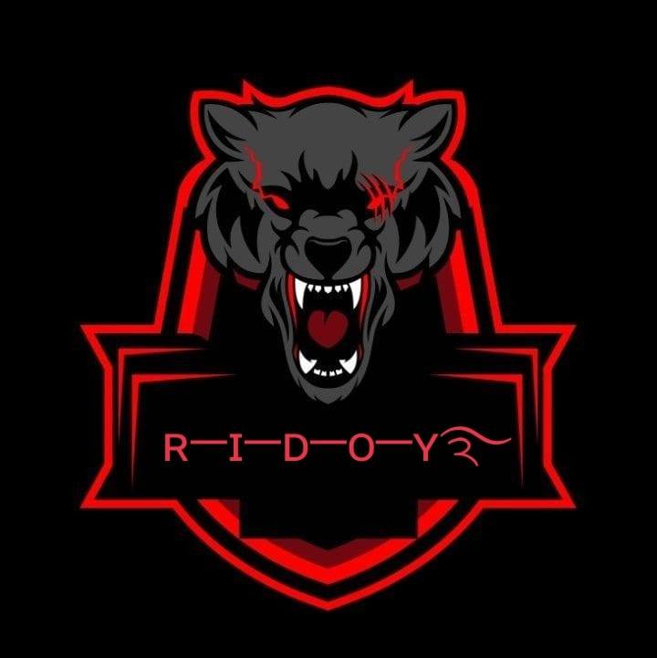 Ridoy gaming