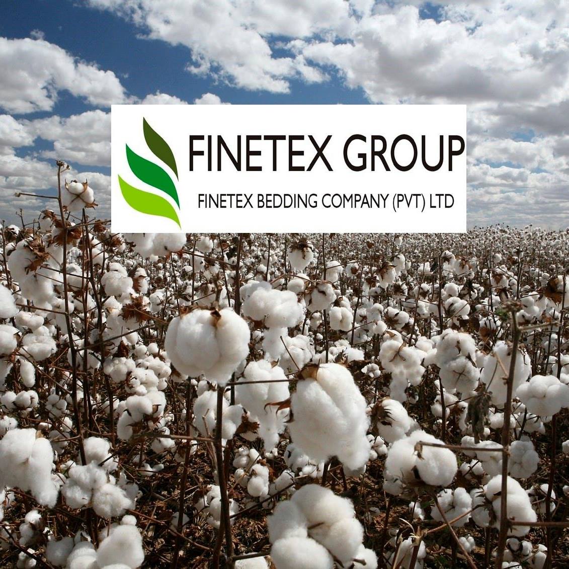 Finetex Bedding Company Pvt Ltd