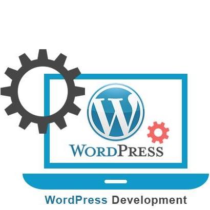 WordPress Theme & Plugin Development Solutions