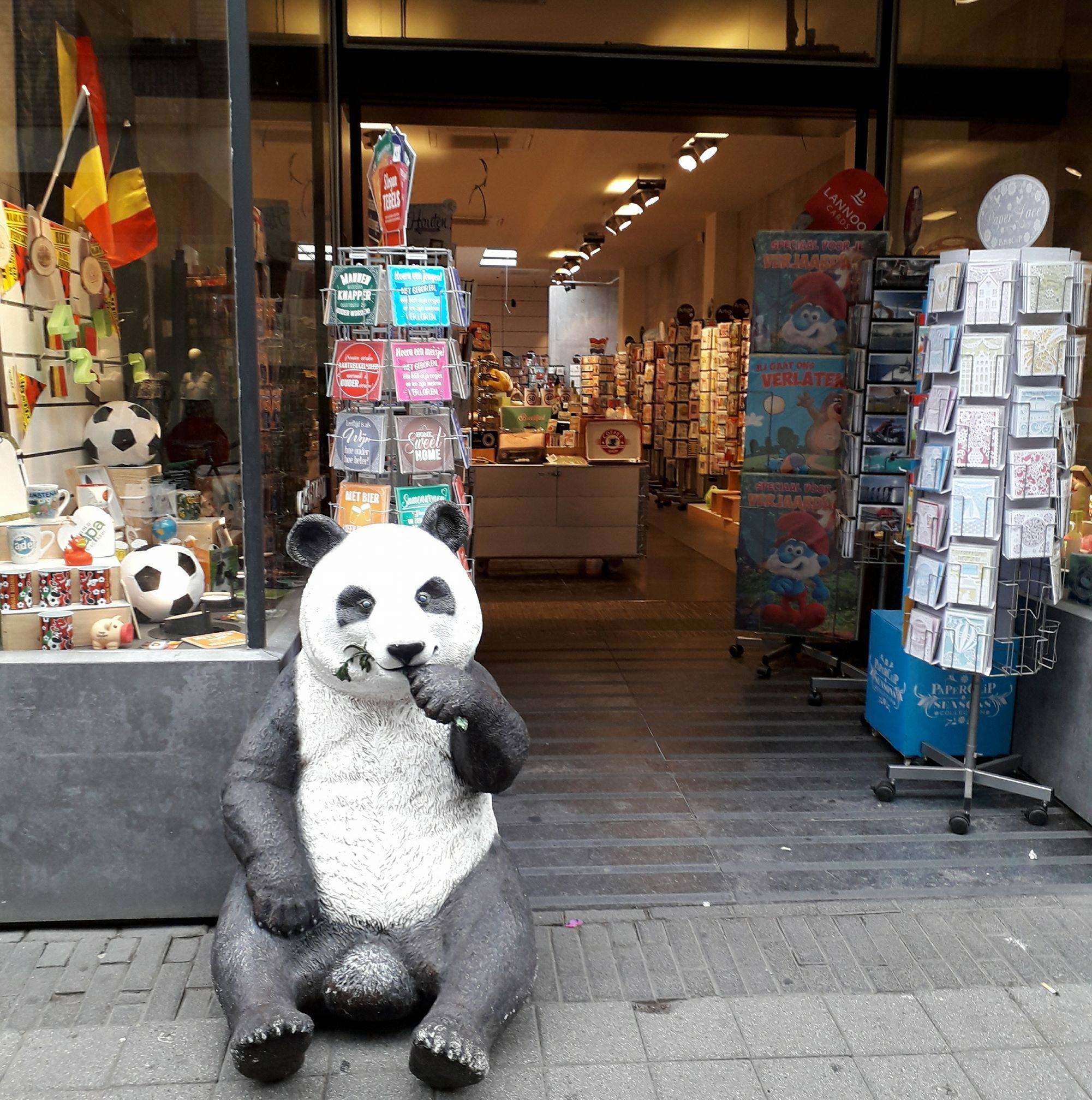 Bozzy Turnhout | Turnhout