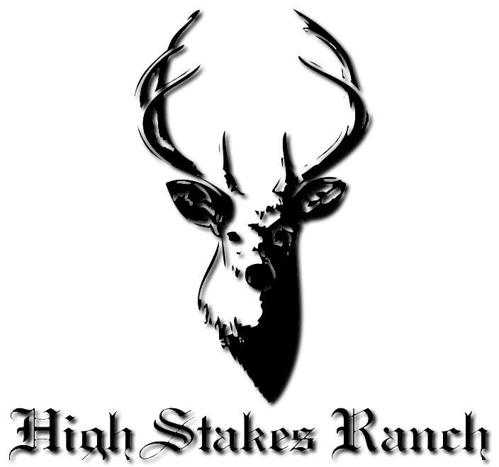 High Stakes Ranch | Mullin TX
