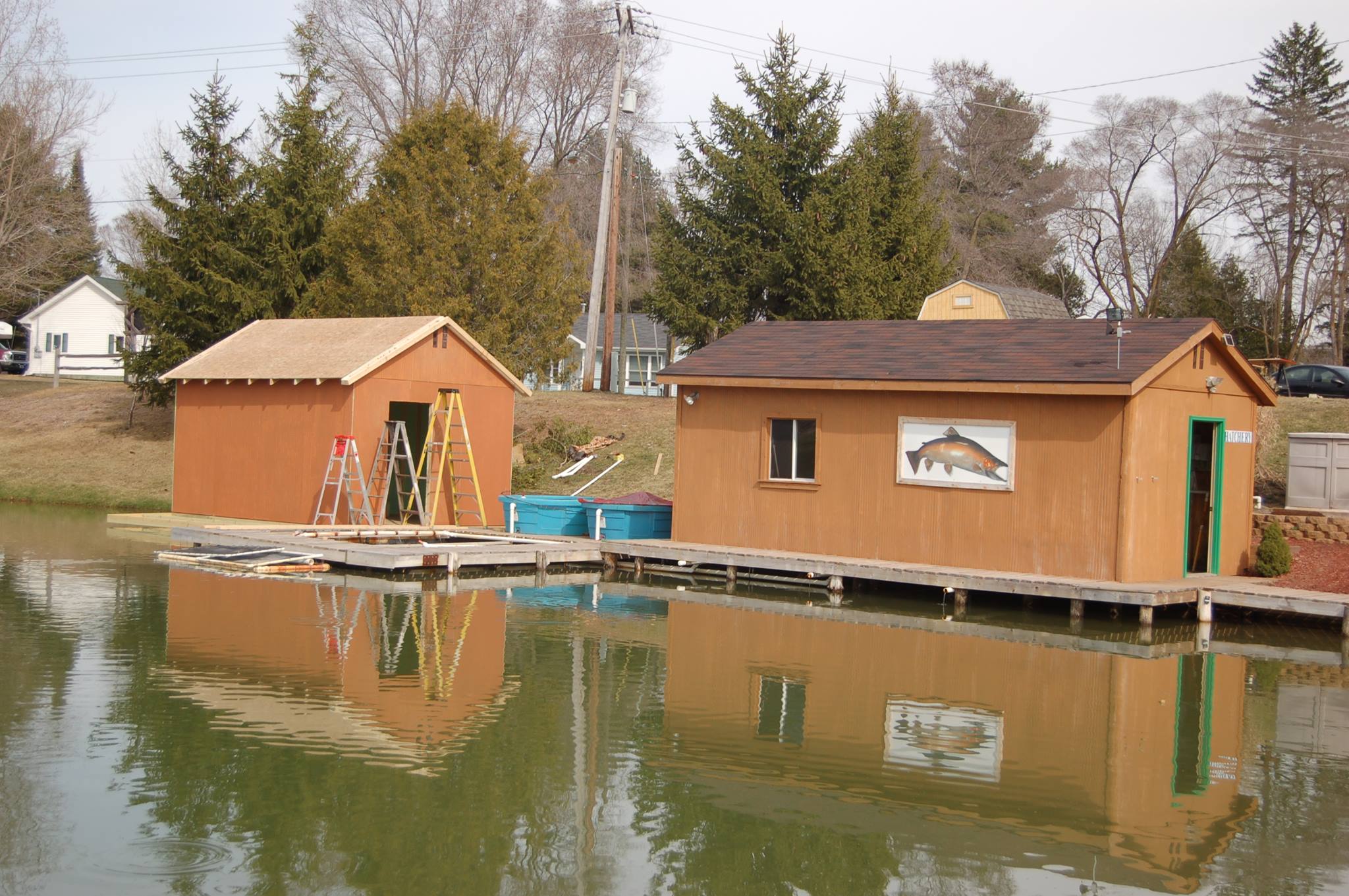 Blue Springs Fish Farm | Gladwin MI