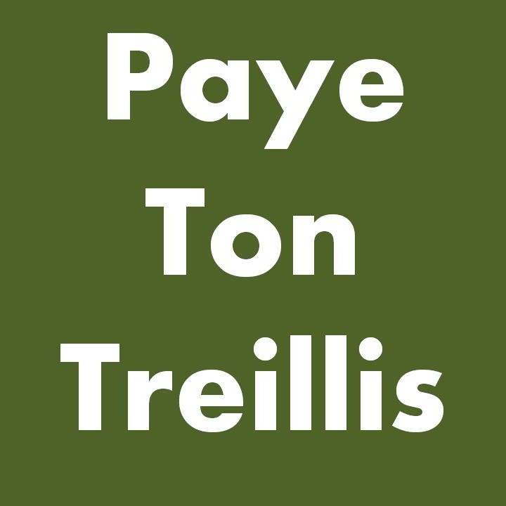 Paye Ton Treillis