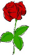 The Wethersfield Men's... - Men's Garden Club of Wethersfield | Facebook