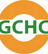 GCHC International team | Groningen