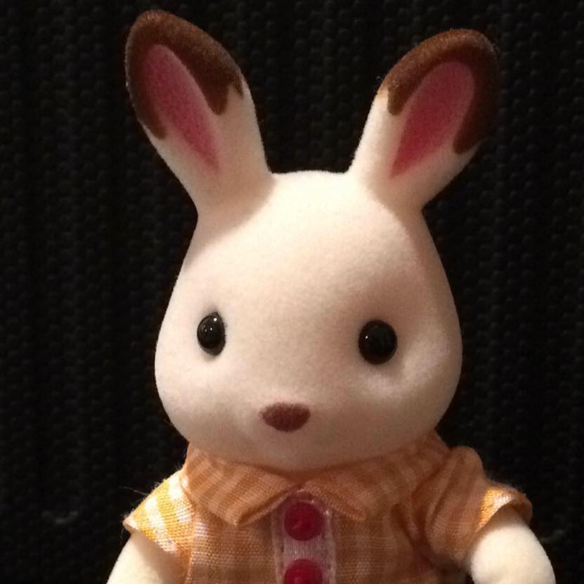 Harlan Rabbit builds his house.