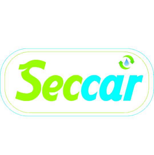 Seccar - Lavagem a seco