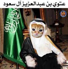 عتوي عبدالله بن عبد العزيز آل سعود