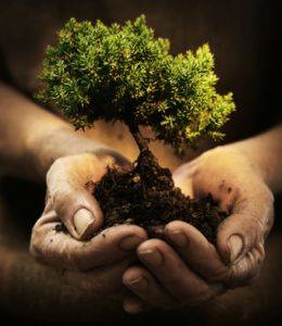 The Nature Generation