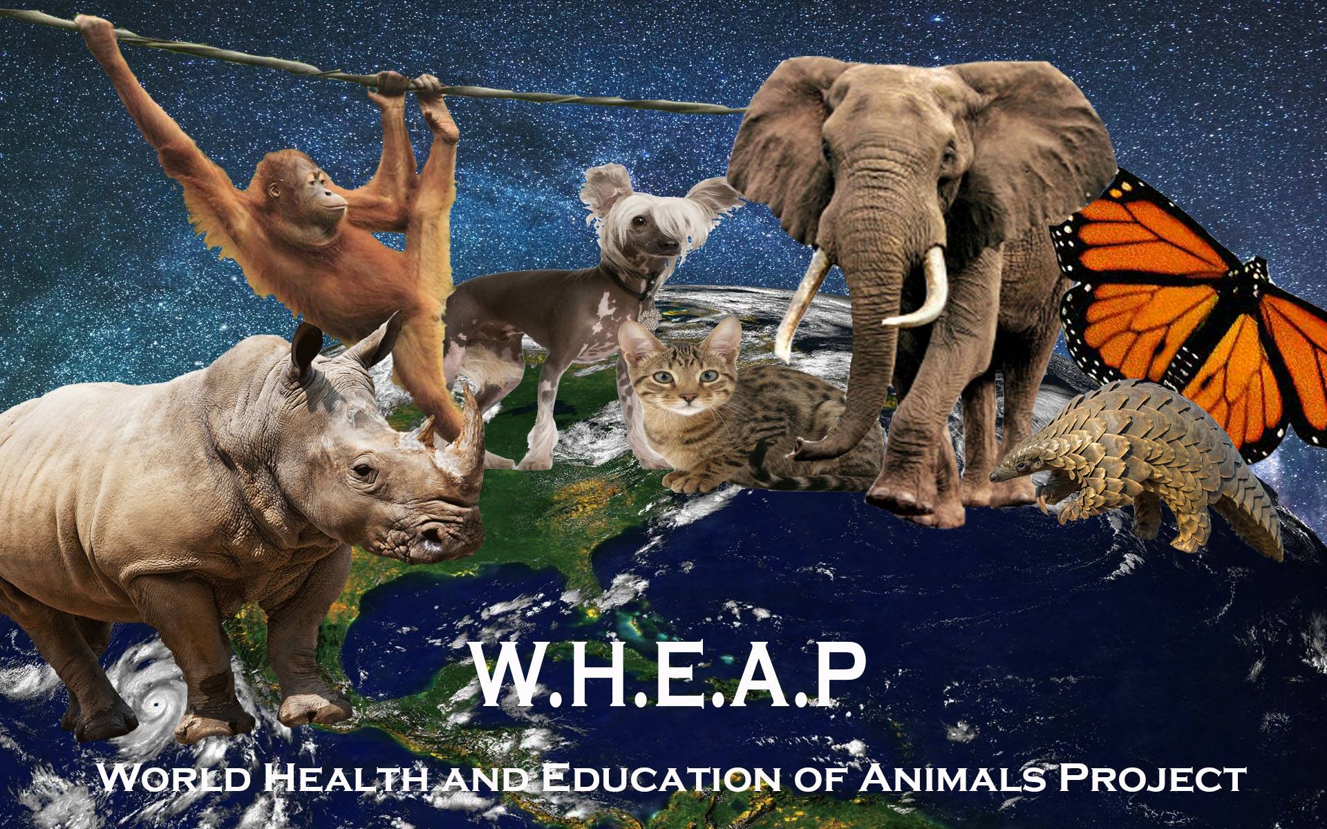 WHEAP