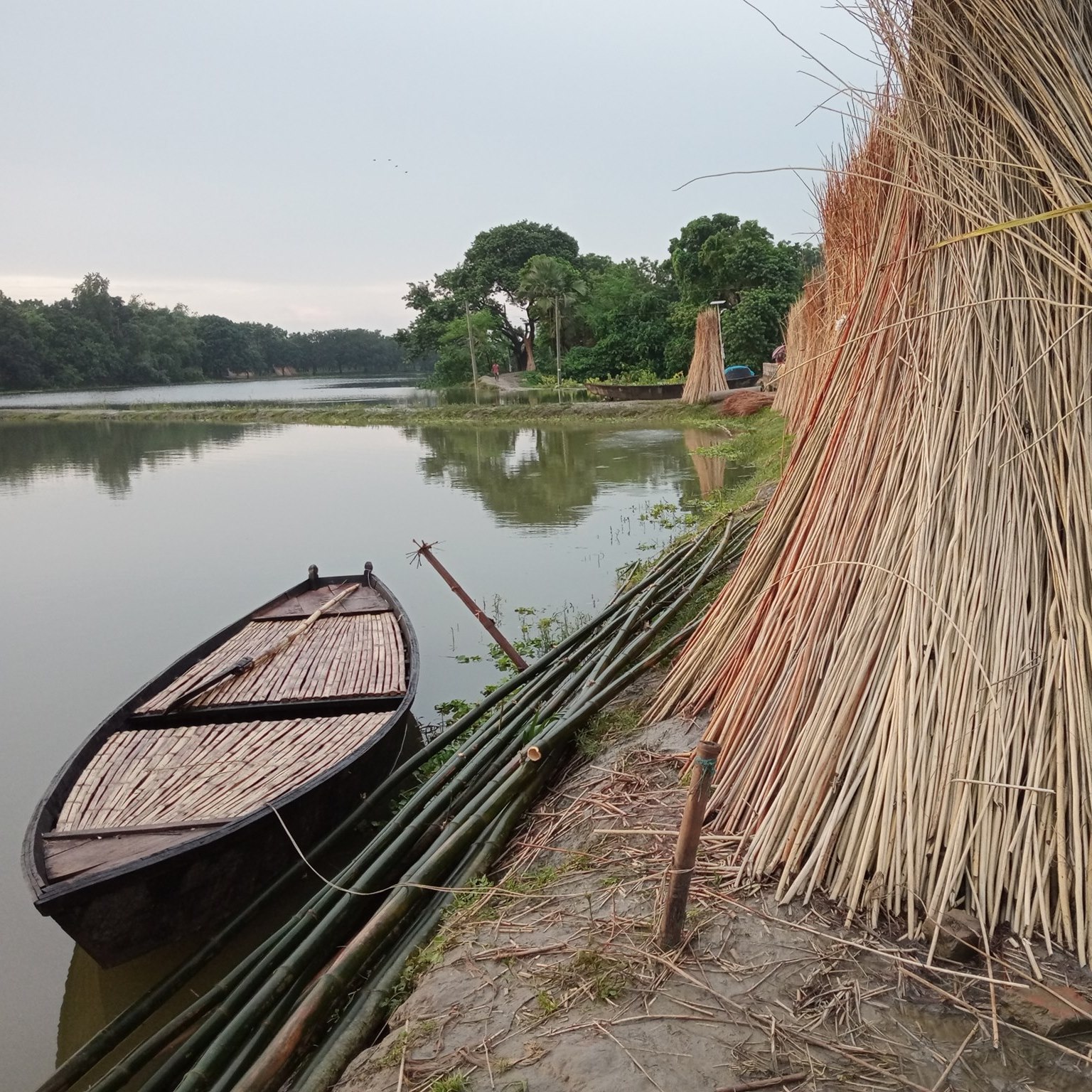 Mordana-মর্দানা (@MordanaZone) • Facebook