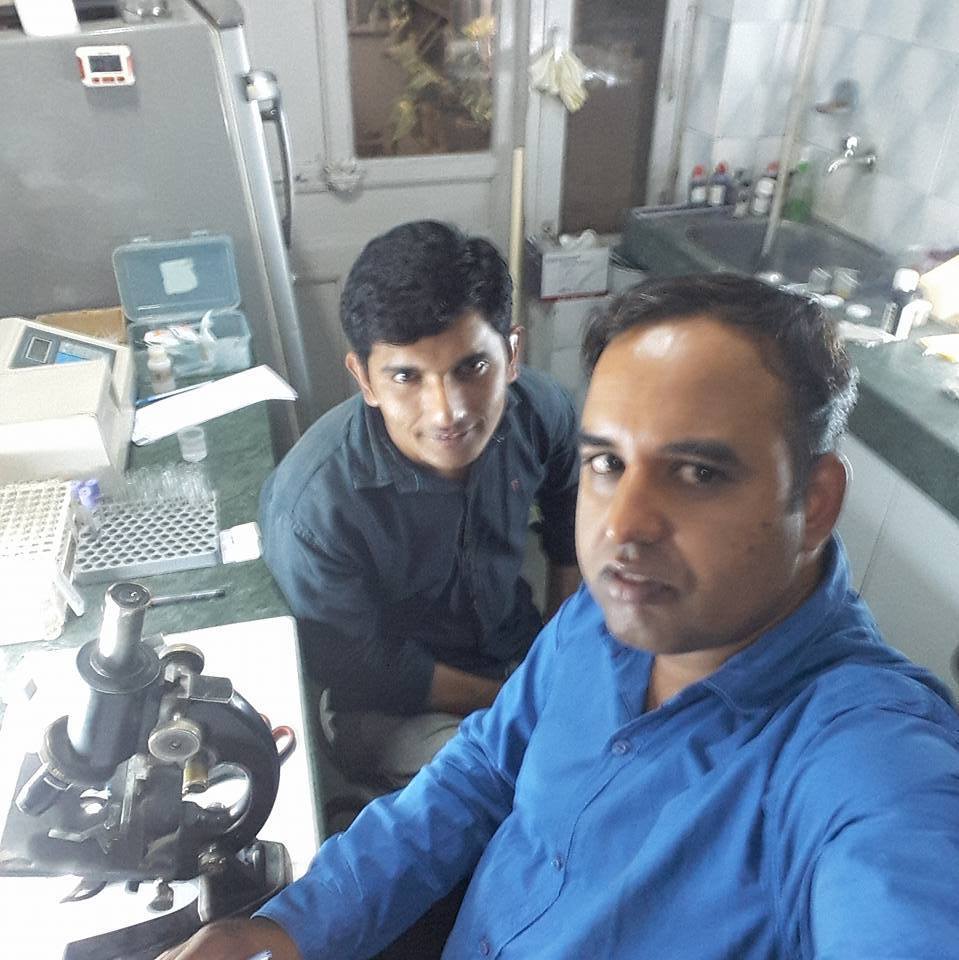 Jaipur Pathology Lab. | Hisar