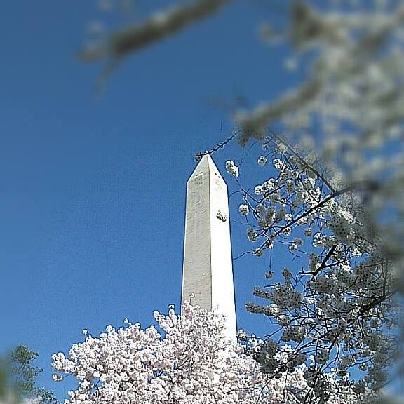 Washington DC Stamp Collectors Club