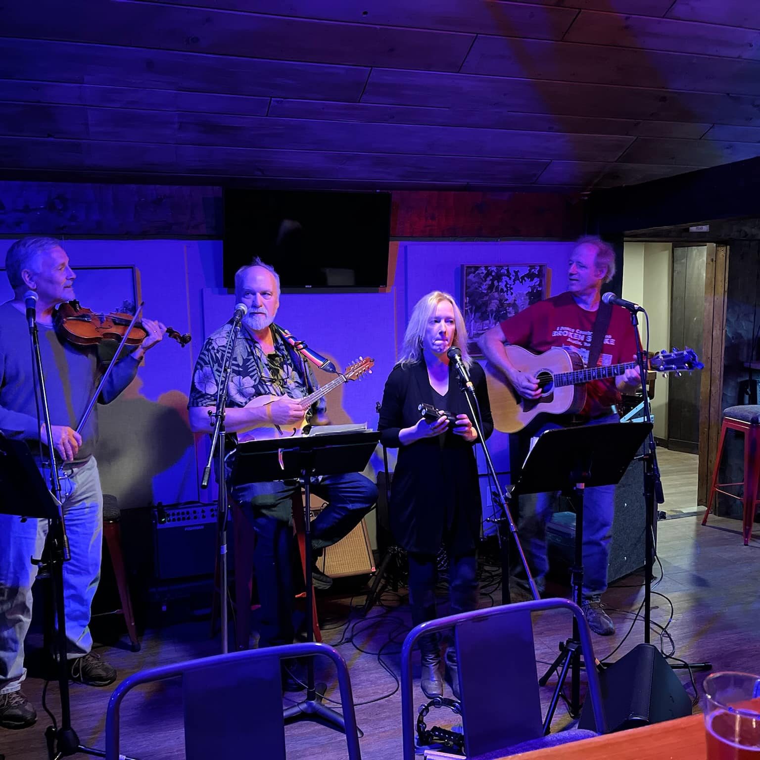 Ravenwood String Band