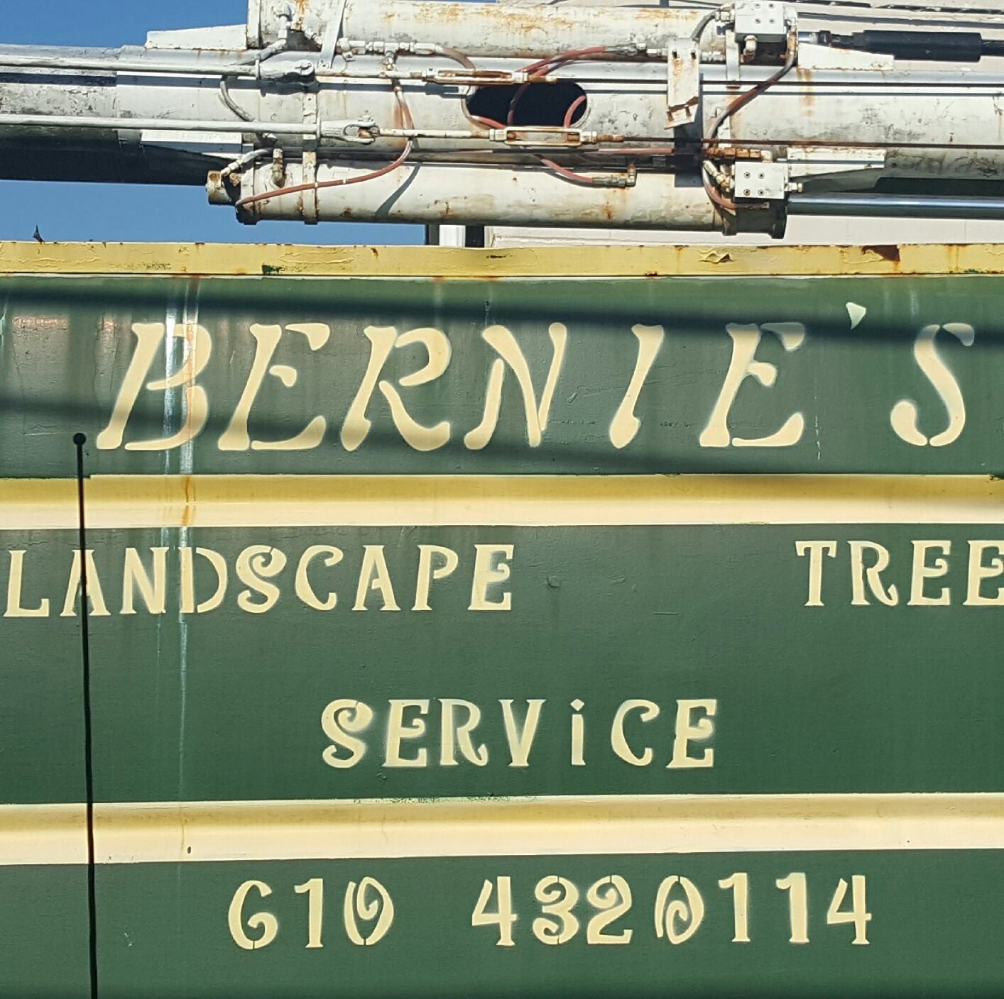 Bernie's tree service | Allentown PA