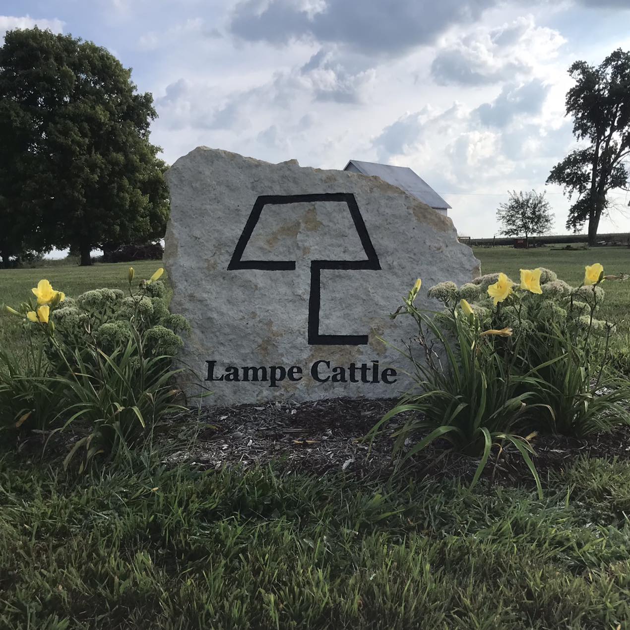 Lampe Cattle Company