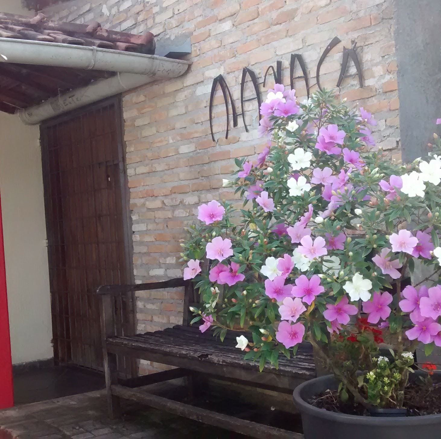 Manacá Rt