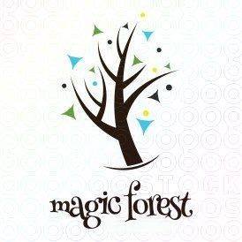 Magic Forest Horse Riding Safari