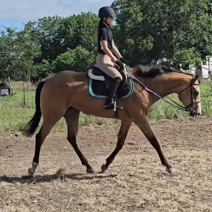 K2 Ranch Works | Kerens TX