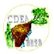 Community Development and Environment Association