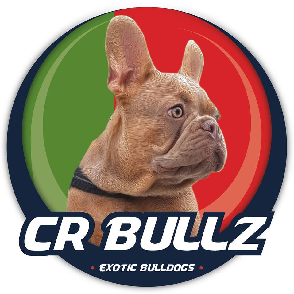 CR BULLZ