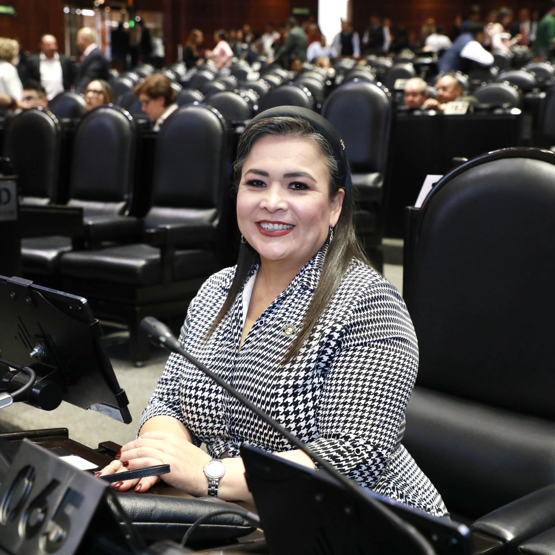Diputada Sonia Rincón Chanona