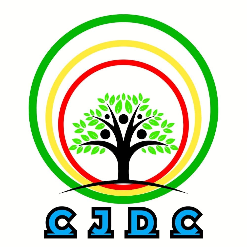 Collectif Jeunesse Debout Pour Le Changement -CJDC | Bamako