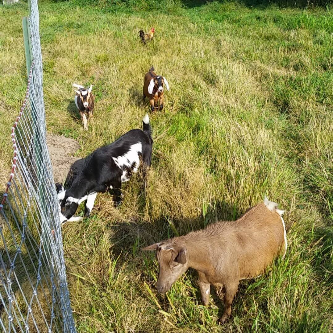 Tester Farms | Snohomish WA