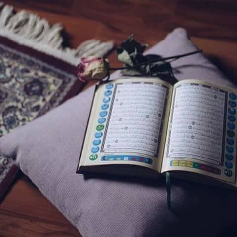 البوت الاسلامي - Bot Islamic