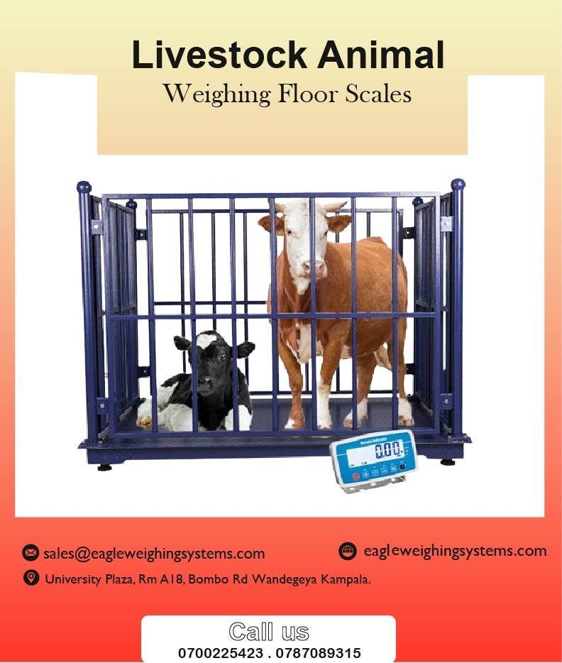 How much is a digital animal weighing scale in Kampala Uganda | Kampala