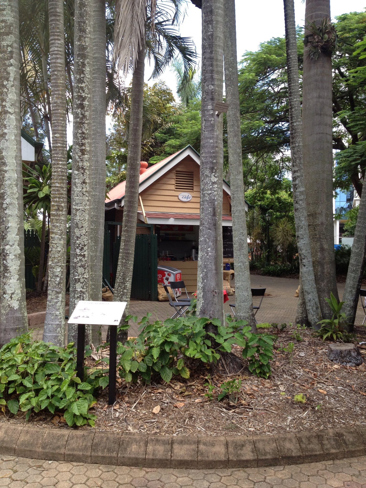 City Botanic Gardens Cafe | Brisbane QLD