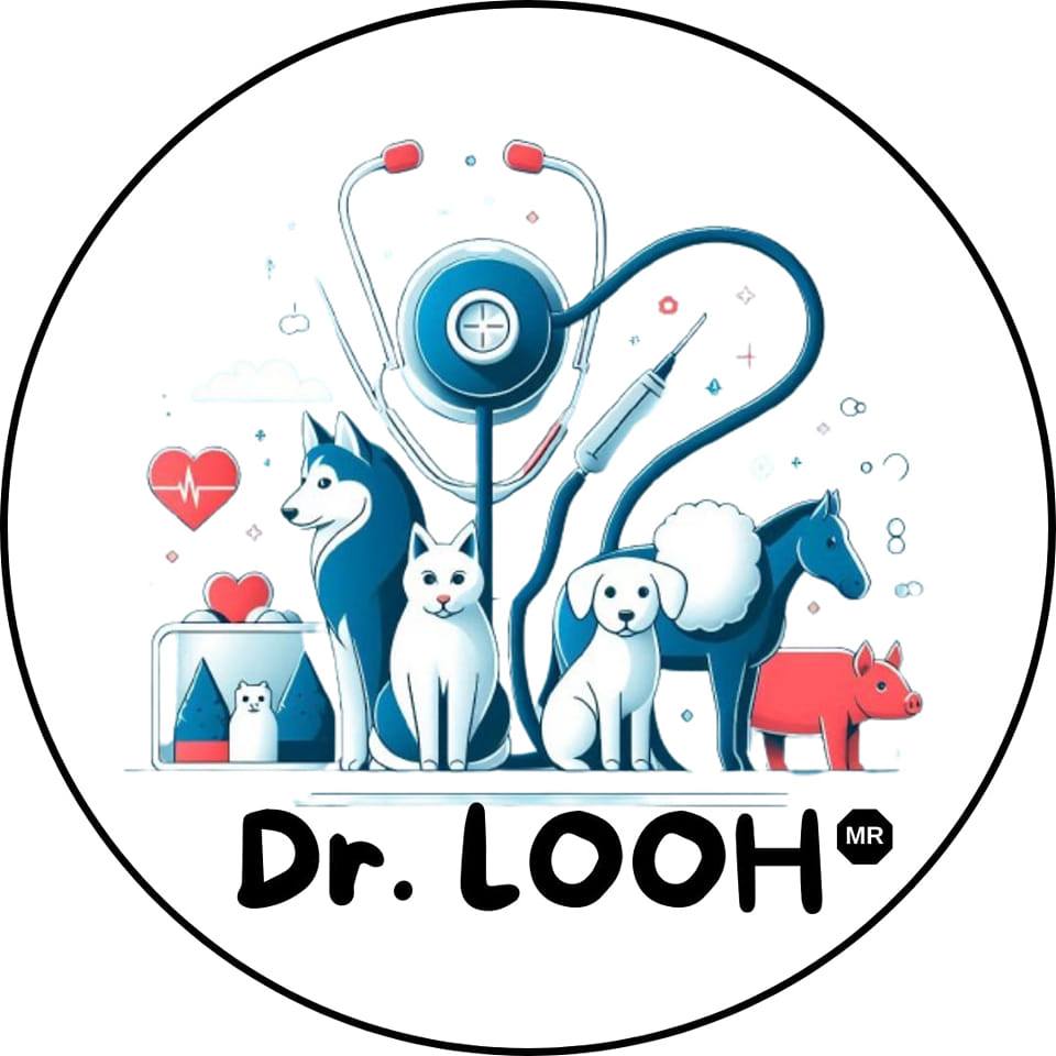 Dr. LOOH | Apizaco Centro