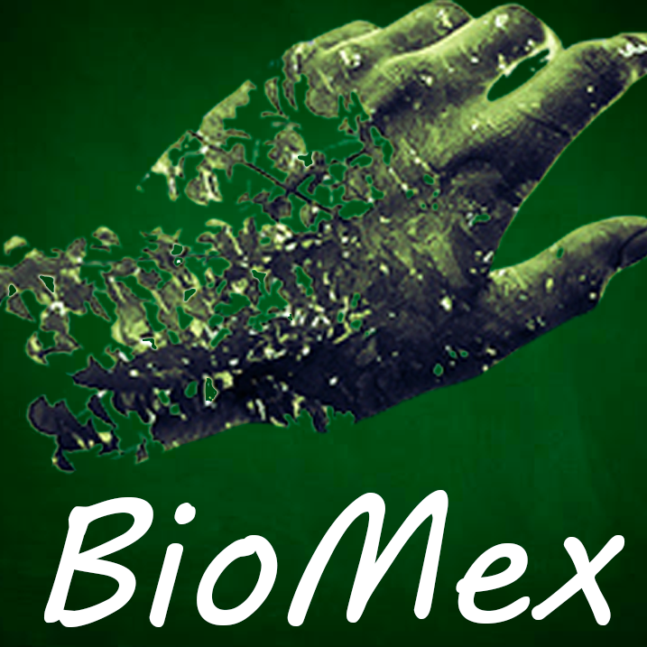 BioMex